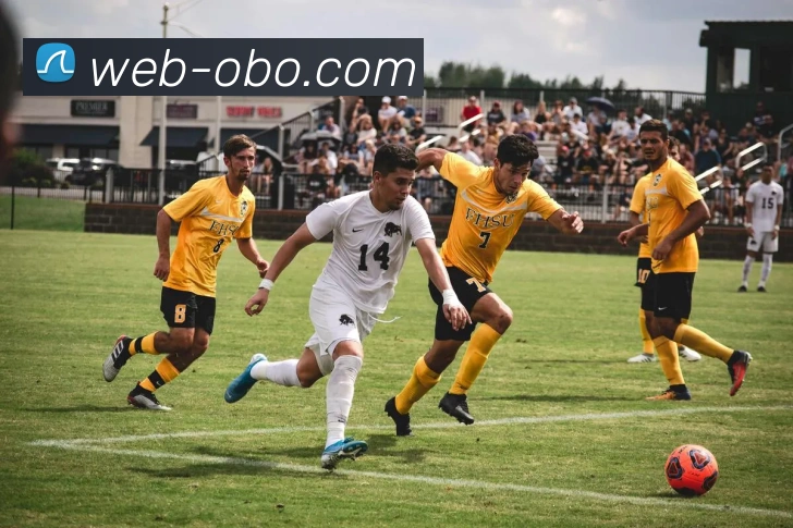 多媒体互动体验